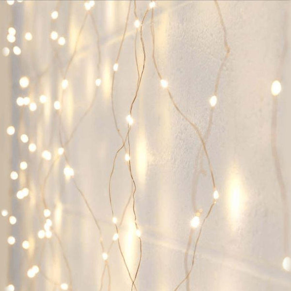 Fairy Lights - Rainbowly Fresh Fruit Gift and Flower Arrangments