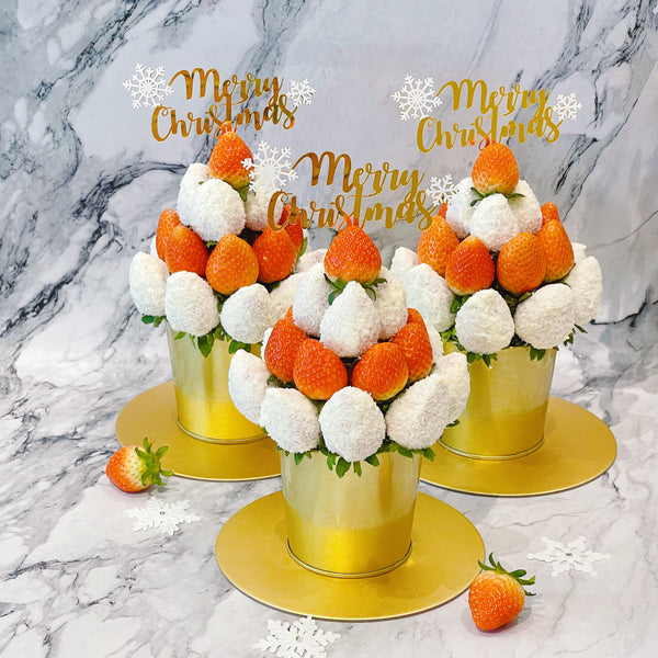 Christmas Special: Red & White Fiesta - Fresh Fruit Arrangement Pot with Chocolate Coated Strawberries - Rainbowly Fresh Fruit Gift and Flower Arrangments